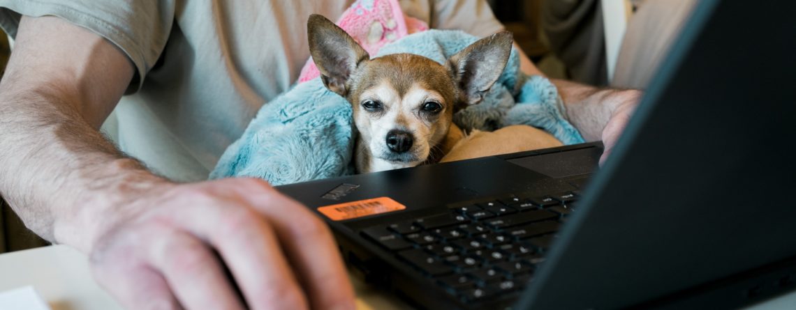 work from home with family